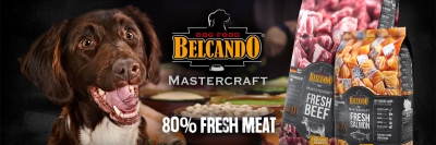 BELCANDO MASTERCRAFT
