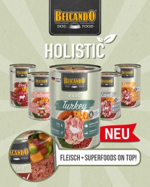 Holistische Lijn