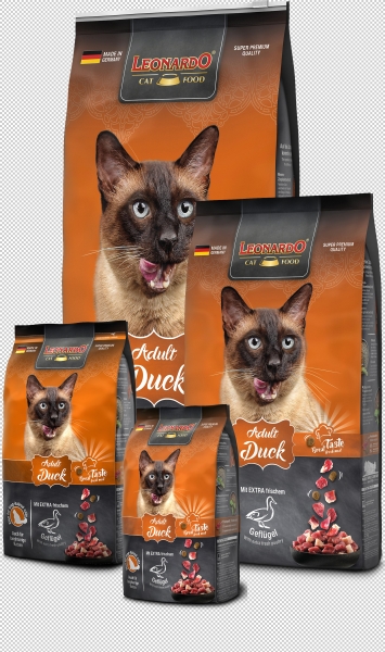 Adult Duck