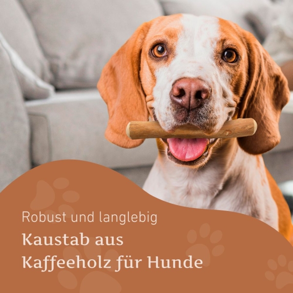 Kaffeeholz Kaustab