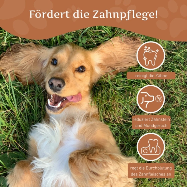 Kaffeeholz Kaustab