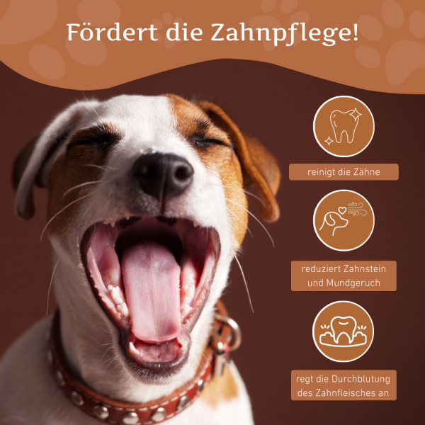 Kaffeeholz Kaustab mit Lachsöl