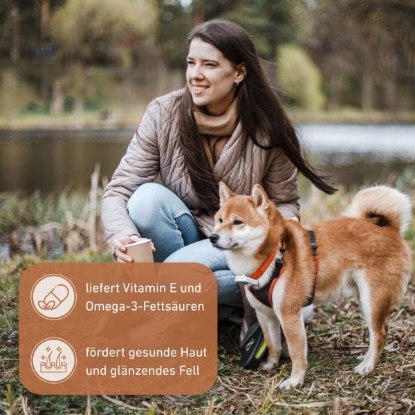 Olivenholz Kaustab