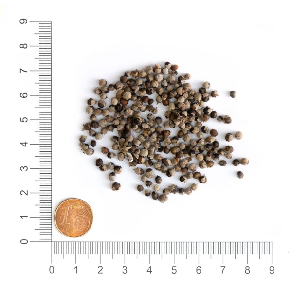 Mönchspfeffer 100g