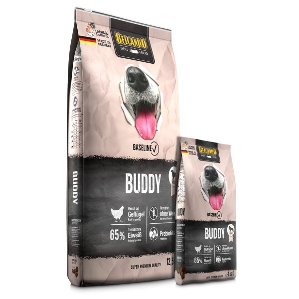 Buddy