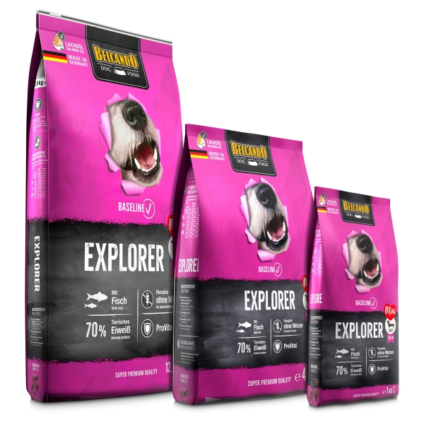 Explorer