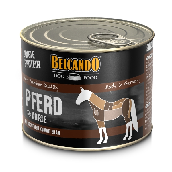 Pferd