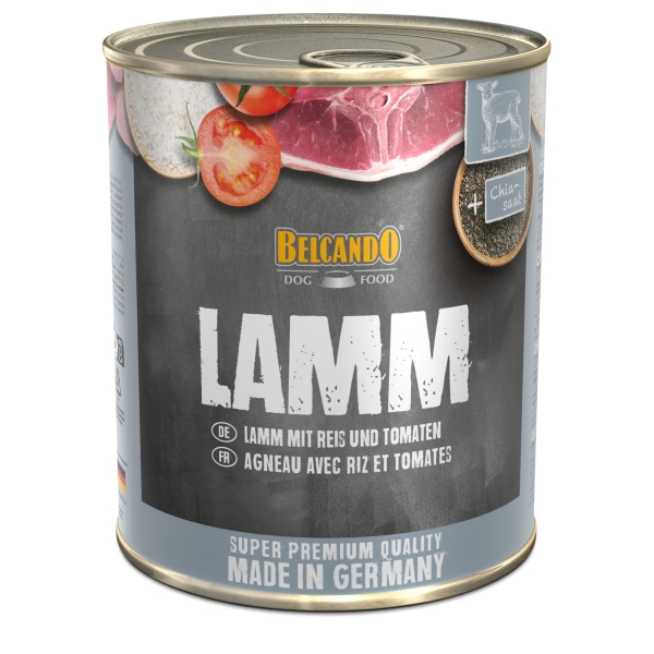 Lamm mit Reis und Tomaten