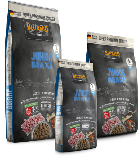 Junior Maxi