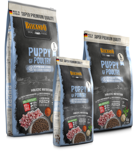 Puppy GF Poultry