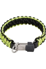 Halsband 30cm gelb-schwarz