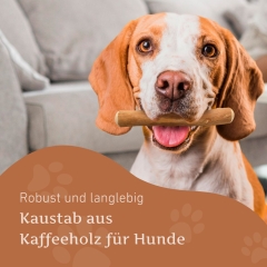 Kaffeeholz Kaustab