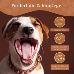 Kaffeeholz Kaustab mit Lachsöl