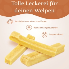 Kaukäse - Hartkäse Kaustab