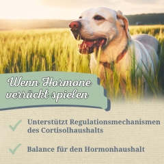 Mönchspfeffer 100g